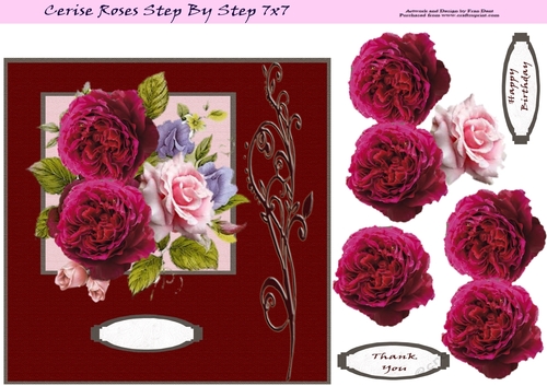 Cerise Roses Step By Step 7x7