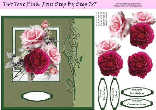 Two Tone Pink Roses Step By Step 7x7