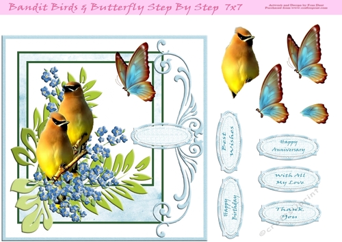 Bandit Bird & Butterfly Step By Step 7x7
