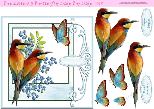 Bee Eaters & Butterfly Step By Step 7x7