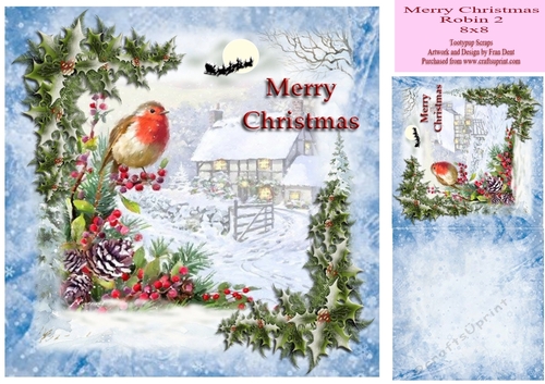 Merry Christmas Robin 2