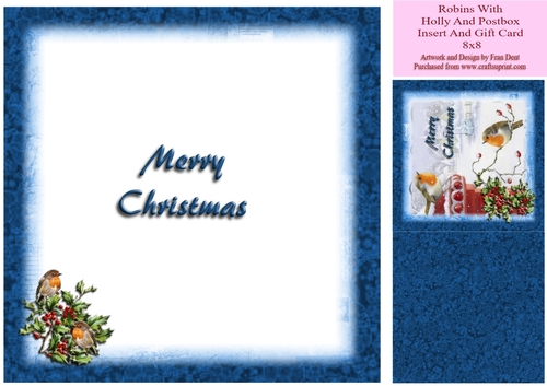 Robins With Holly And Postbox Inseret 8x8 And Gift Card