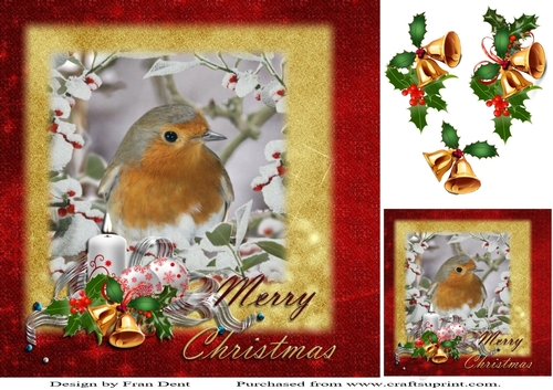 Robin In Tree With Snow 8x8