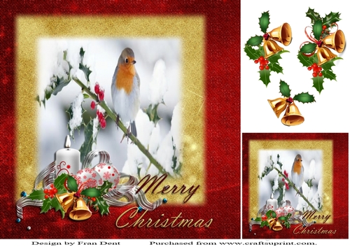 Robin On Holly Branch 8x8
