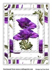 Anemone A4 Card Front 2