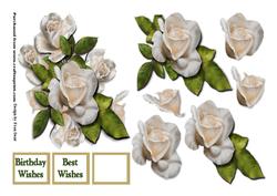 White Roses