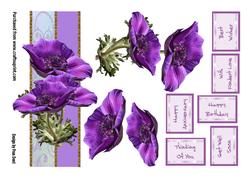 Anemone Step by Step 2