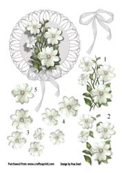 White Flowers and Lace