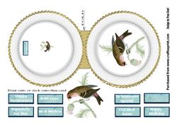 Bird Plate Wobble Card 3