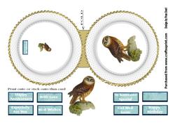 Bird Plate Wobble Card 4