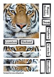 Tiger Criss Cross Stacker
