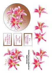 A Circle of Lilies