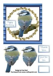 Blue Tit Birthday Card