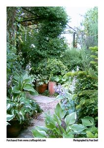 The Hosta Walk
