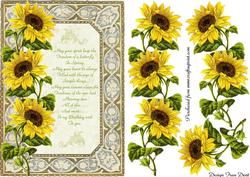 Sunflower Frame