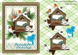 Chickadees and Robins