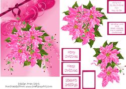 Pink Poinsettias on Pink