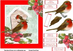 Robin Red Breast