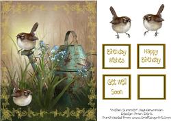 The Wrens