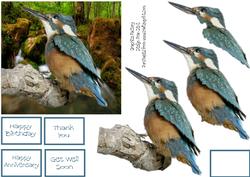 The King Fisher