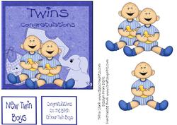 Twin Boys