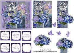 A Symphony in Lilac and Blue