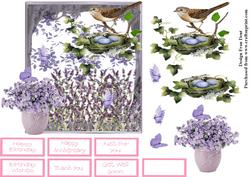 Living Amongst the Lavenders