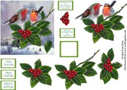 Robins and Holly Berries