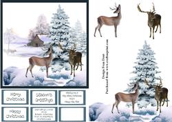 Deer in Snow