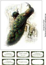 The Peacocks Card Topper