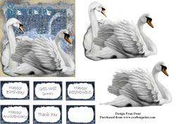 Swans