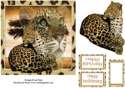 Leopard at Rest