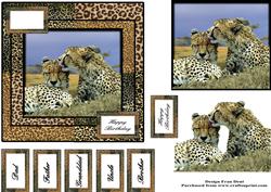 The Cheetah's Kiss