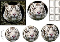 White Bengal Tiger Pyramid