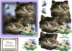 Cute Kittens Step by Step