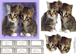 Cute Kittens 2 Step by Step