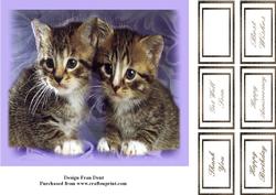 Cute Kittens 2 8x7 Topper