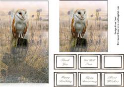Two Barn Owl Toppers