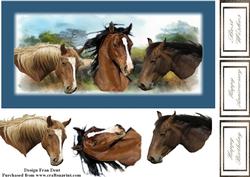 Horse Whispering