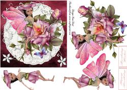 Fairy Rose on Lace