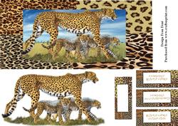Cheetas Dl