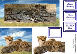 Cheetah Toppers with Decoupage