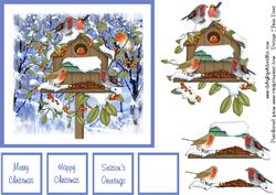 Robins in the Snow