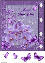 Orchids Just for You