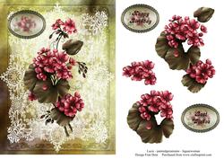 Lace and Geraniums