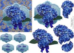 Blue Hydrangeas