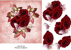 Roses for Any Occasion