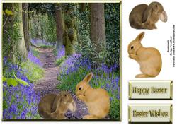 Easter Bunnies Amongst the Bluebells