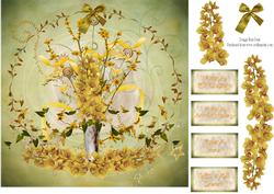 Yellow Orchids