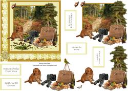 A Picnic in the Woods Step by Step